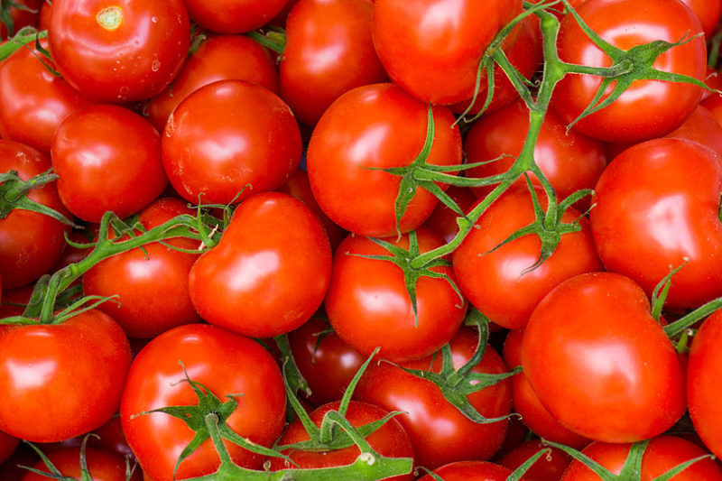 トマトの旬はいつ？／野菜の旬と基礎知識