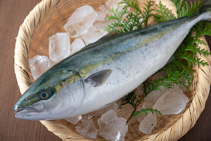ぶりの旬はいつ?/旬の魚と基礎知識 オリーブノート公式 カラダに美味しい、オイルのノート ぶりの旬はいつ?/旬の魚と基礎知識 オリーブノート公式 カラダに美味しい、オイルのノート